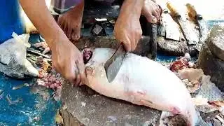 The Best Way to Cut Rohu Fish for Beginners #fishcutting