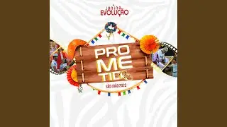 Frevo Mulher (Cover)