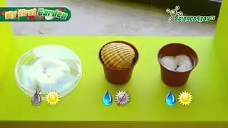 Science4you UK   My First Garden