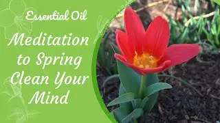 Essential Oil Meditation to Spring Clean Your Mind