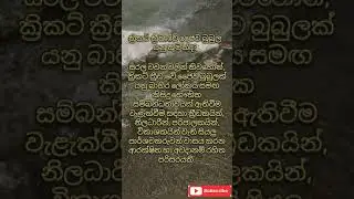 bio bubble ජෛව බුබුල#shorts