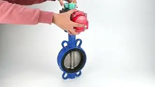 Elephant WBV1632E Butterfly Valve | Cast Iron Body, 316L Disc, EPDM Seal, Pneumatic Drive