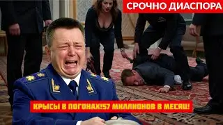 7 лет коррупции: Полицейские продали СПб мигрантам за 4.8 млрд