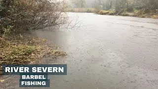 🎣 Рыбалка на реке Северн в погоне за усачом