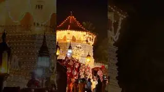 දළදා පෙරහැර 🙏| esala perahera kandy 2024 | esala perahera | #shorts