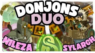 DUOTAGES DONJONS NILEZA ET SYLARGH - PANDA SRAM - DOFUS