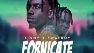 Tinny ft. SwaeBoy -Fornicate(Audio Video)