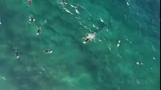 Short Surf