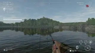 Unique Crucian Carp Tiber River