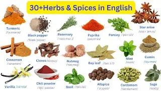 🌶️ Learn Herbs & Spices in English | Vocabulary for Cooking