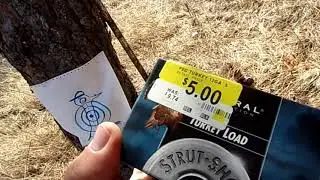 Federal Strut Shok Turkey Ammo Review/Test!!