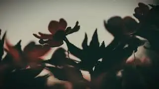 Smooth Hip Hop R&B Instrumental - Suave (prod. Dar'rell Banks)