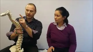 SAN LEANDRO CHIROPRACTOR KAISER PHYSICAL THERAPY DEPARTMENT DID NOT DELIVER AGAIN