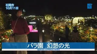 バラ園　幻想の光　石岡・いばらきフラワーパーク