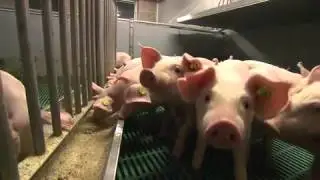 ORF NOE Konsumententipp