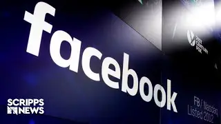 Is Facebook planning to charge money? Meta Verified explained