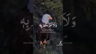 Qari Abdul Rahman Sudaiss Tilawaty Quran