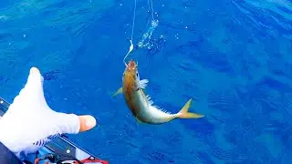 Live Bait Techniques: Deep Sea Kayak Fishing in New Zealand!