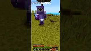 Шрам на всю жизнь (Minecraft)