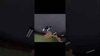 || Qwel what it this 😭😭 || #dandysworld #roblox #memes #forfun #glitch #sprout