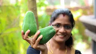 പപ്പായ ഇതുപോലൊന്ന് വച്ചുനോക്കൂ, ഒരു പ്ലേറ്റ് ചോറും പെട്ടന്ന് തീരും💯👌 | Papaya Masala Curry in Kerala
