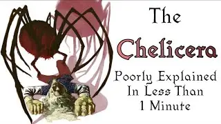 Too Long; Didn't Lore - D&D Chelicera