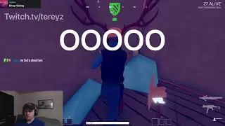 Totally Accurate Battlegrounds (400 IQ play)