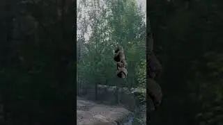 Shorts Video 261