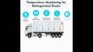 Cold Chain Transportation