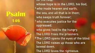 Psalms (Audio Bible): Psalm 146, Psalm 147, Psalm 148, Psalm 149, Psalm 150 - Popular Verses Quotes