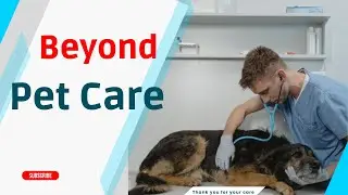 Alternative Pet Care: Complementing Conventional Treatments for Your Furry Friends