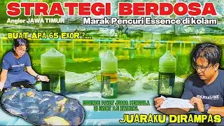 Gerombolan ikan enggan pergi dan Antre Makan tiadahentinya