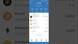 ADD BFX TOKEN IN BFX WALLET