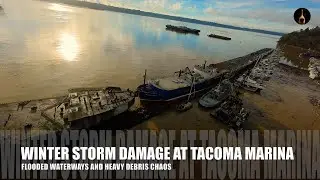 Commencement Bay After Storm 🌊 Yellow Water & Floating Logs