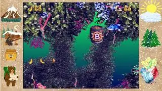 Donkey Kong Country 3 Fish Food Frenzy!