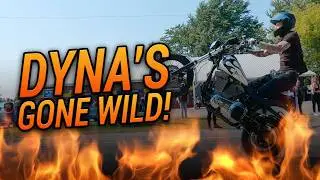 Harley Davidson Dyna Madness!