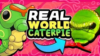 Finding the Real World Caterpie | Pok&eacute;mon Biology