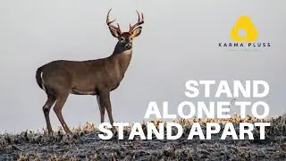 Stand Alone To Stand Apart || KARMAPLUSS IOS AND ANDROID