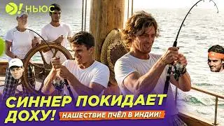 СИННЕР ПОКИДАЕТ ДОХУ! | НАШЕСТВИЕ ПЧЁЛ НА ТЕННИСНЫЙ МАТЧ &mdash; Больше! Ньюс