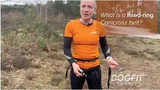 DogFit Fixed ring belt
