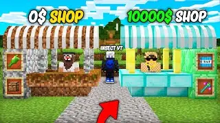 HOMELESS  STORE VS MILLIONAIRE'S STORE IN MINECRAFT || InsectYT Minecraft ||