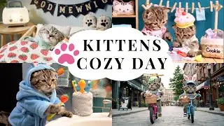 Kittens Cozy Day: From Sleepy Eyes to Starry Nights #Kittens #CuteKittens #KittenAdventures