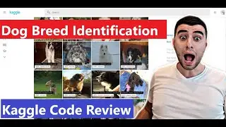 Dog Breed Identification | Kaggle Code Review