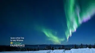 Explore Fairbanks Aurora in Real Time in Winter by Andy Witteman