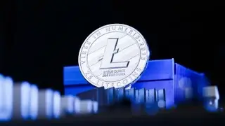 Litecoin (LTC) Price Analysis: Bullish Signals and Key Metrics Point to Potential Upside