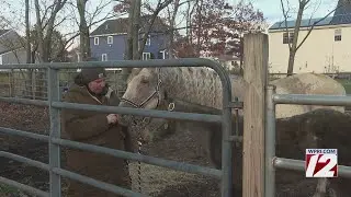 Attleboro farm raises money for family who lost horse in barn fire