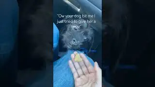 A puppy has more self control than a human that&rsquo;s crazy #protectwomen