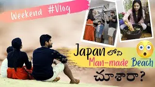 Artificial Beach ఇంత బాగుంటుందా ?! 😍| Gardening | DIY Bird House| Telugu Vlogs| #dtriotravels 👪🏻