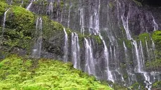 Waialeale - Blue Hole Adventure