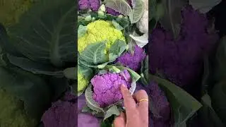 Chou  Flowers      फूल गोपि